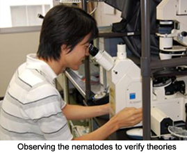 Observing the nematodes to verify theories.