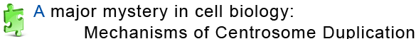 A Major mystery in cell biology: Mechanisms of Centrosome Duplication