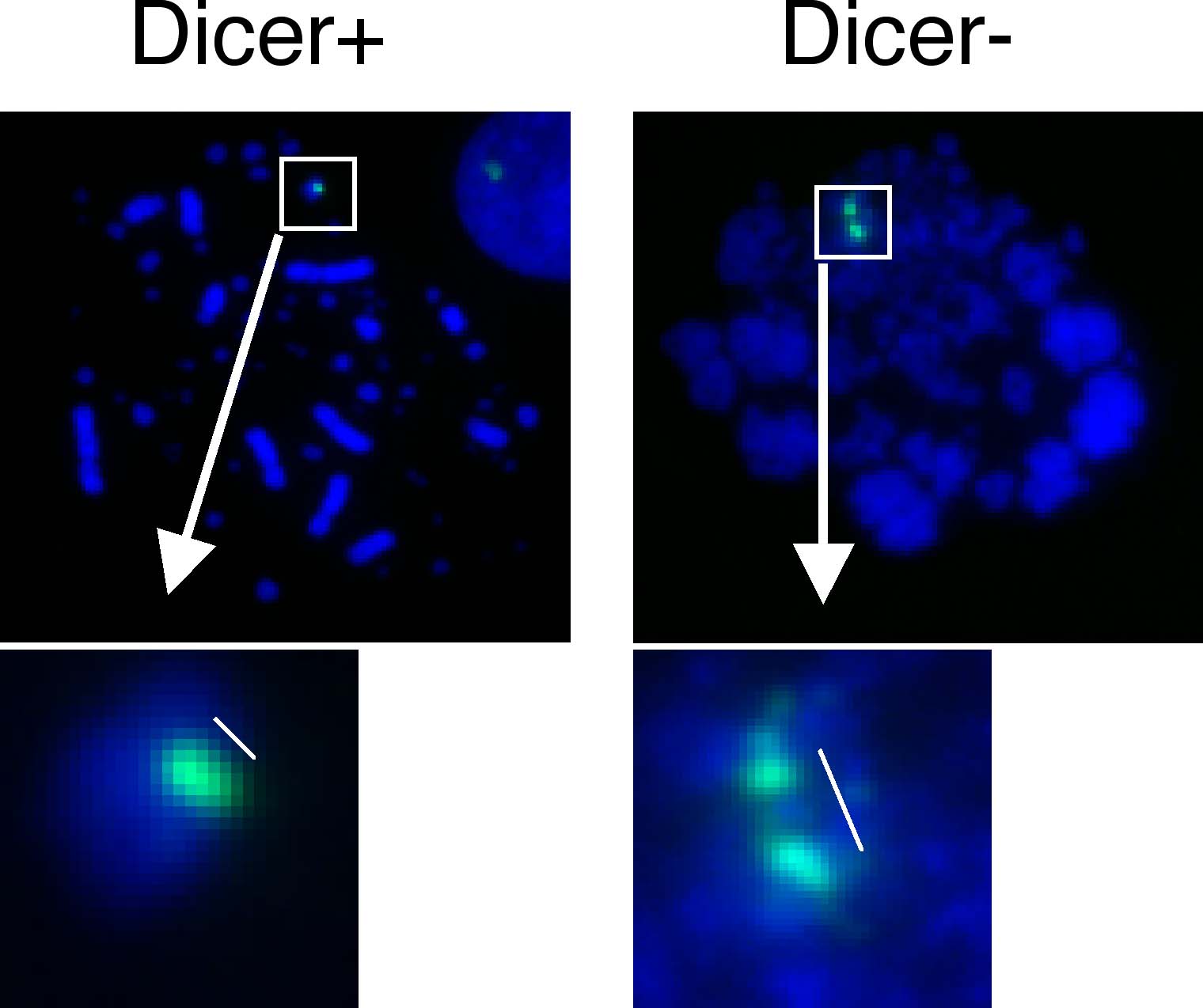 Figure1
