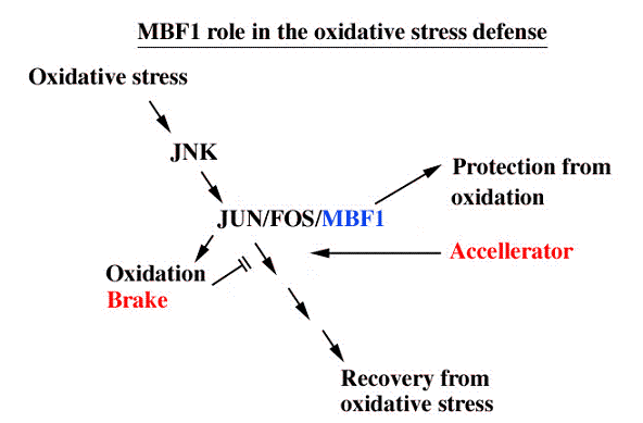 Figure1