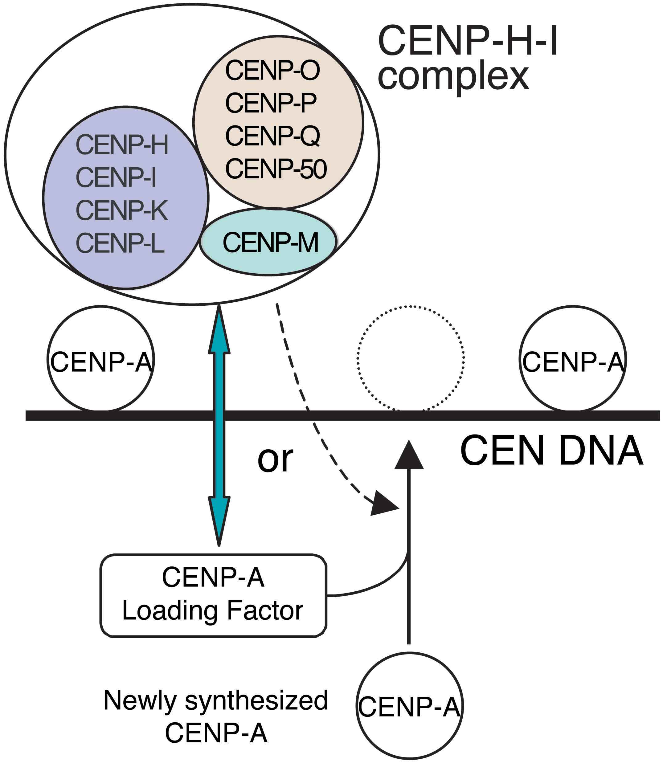 Figure1