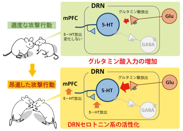 Figure1