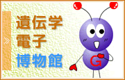 博物館