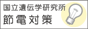 国立遺伝学研究所 節電対策