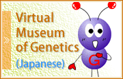 Virtual Museum of Genetics