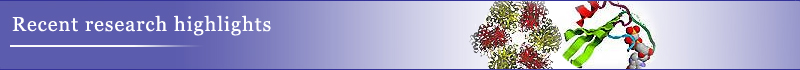 News&topics