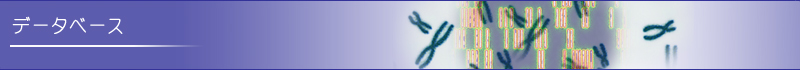 �f�[�^�x�[�X