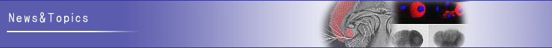 News&Topics