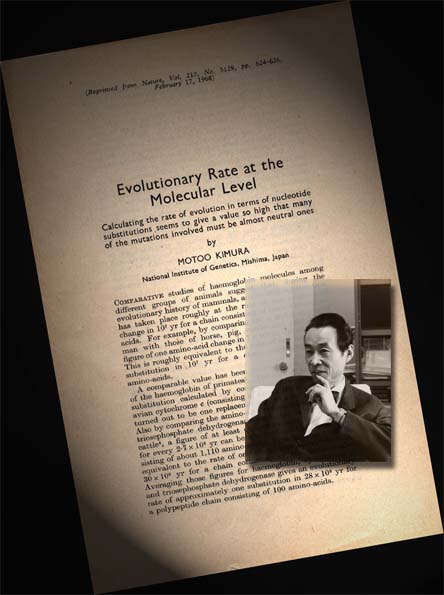 Motoo Kimura JungleKey.fr Wiki