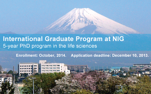Internal graduate program at NIG