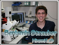 Benjamin Strauber---Hiromi Lab