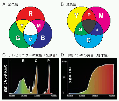 色覚の多様性と視覚バリアフリーなプレゼンテーション 第2回 色覚が変化すると どのように色が見えるのか