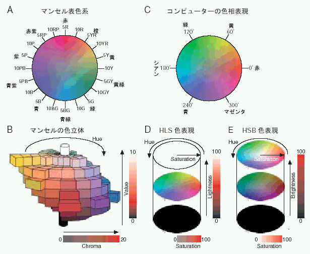 色覚の多様性と視覚バリアフリーなプレゼンテーション 第2回 色覚が変化すると どのように色が見えるのか