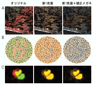 色弱 補正 メガネ