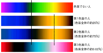 図３光のスペクトルと強度色盲のシミュレーション