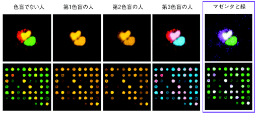 色 強く 何 見える が 猫の色覚｜猫の目からはどんな色が見えているの？再現してみた｜むぎにゃん