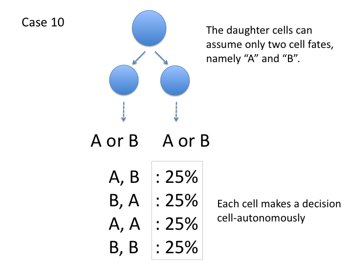 case 10