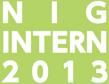 NIGINTERN2013