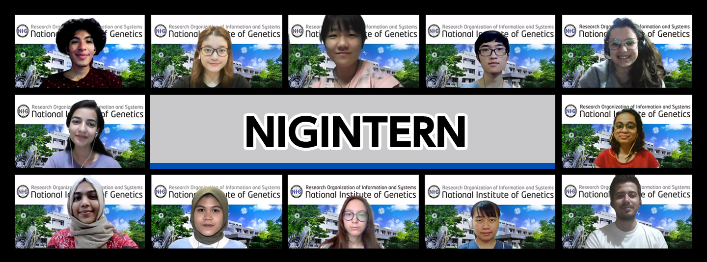 NIGINTERN2021