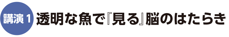 講演1 透明な魚で『見る』脳のはたらき