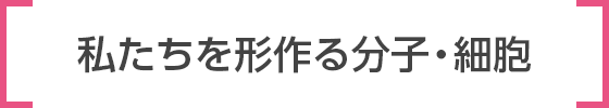 私たちを形作る分子・細胞