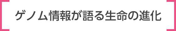 ゲノム情報が語る生命の進化