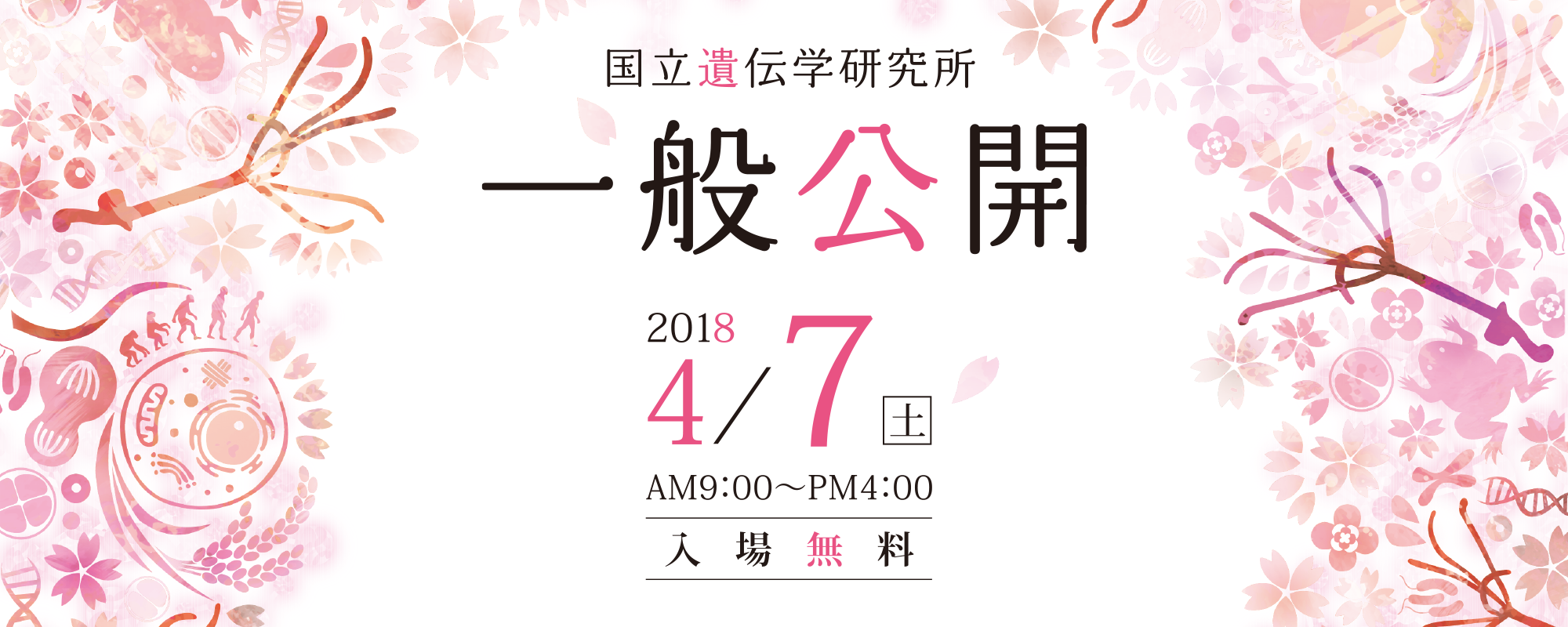 国立遺伝学研究所 一般公開2018 2018年4月7日(土) AM9:00-PM4:00