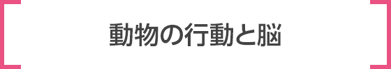 動物の行動と脳