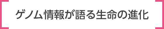 ゲノム情報が語る生命の進化