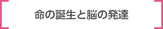 生命誕生から脳の発達まで