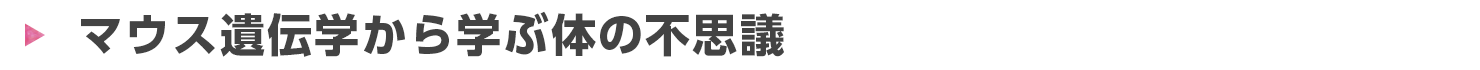 マウス遺伝学から学ぶ体の不思議