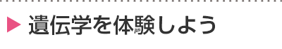 遺伝学を体験しよう