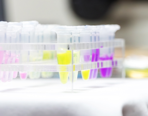 ゲノムくんの部屋