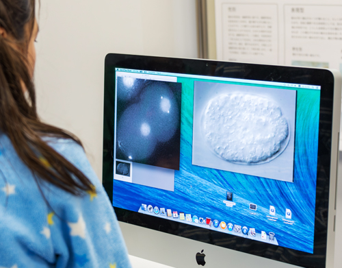 細胞せんせいの部屋