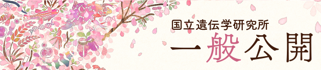 スマホ用ヘッダー