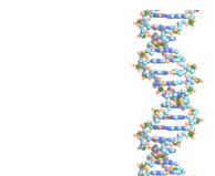 DNA画像１