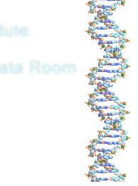 DNA画像２