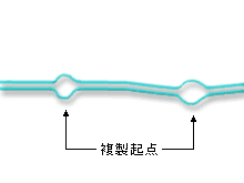 複製基点