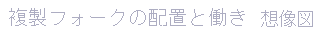 複製フォークの配置と働き　想像図へ