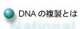 DNAの複製とはへ