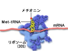 stage1 画像１