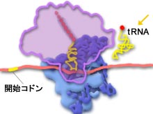 stage2 画像１