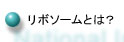 リボソームとは?へ