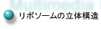 リボソームの立体構造へ