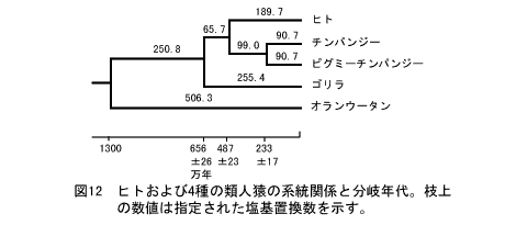 遺伝学電子博物館