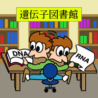遺伝子の設計図集から一つの部品の設計図を写す。