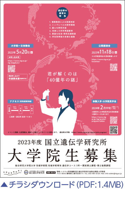 大学院説明会2023 チラシ