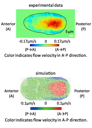 Figure2