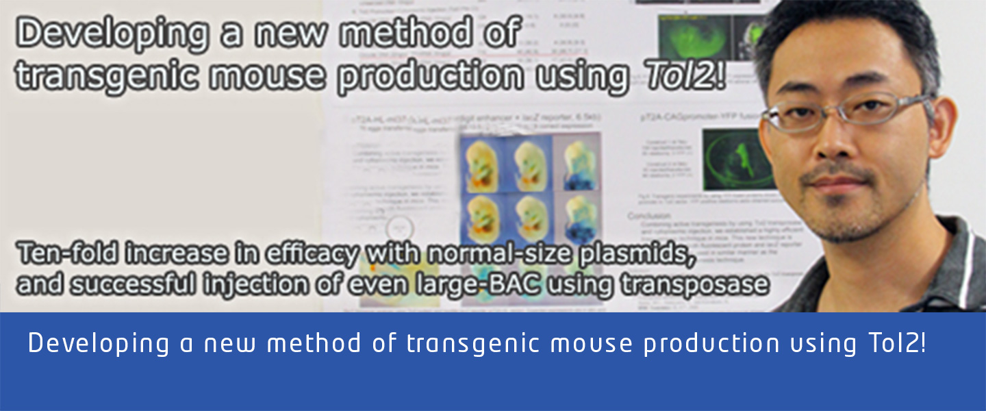 Developing a new method of transgenic mouse production using Tol2!