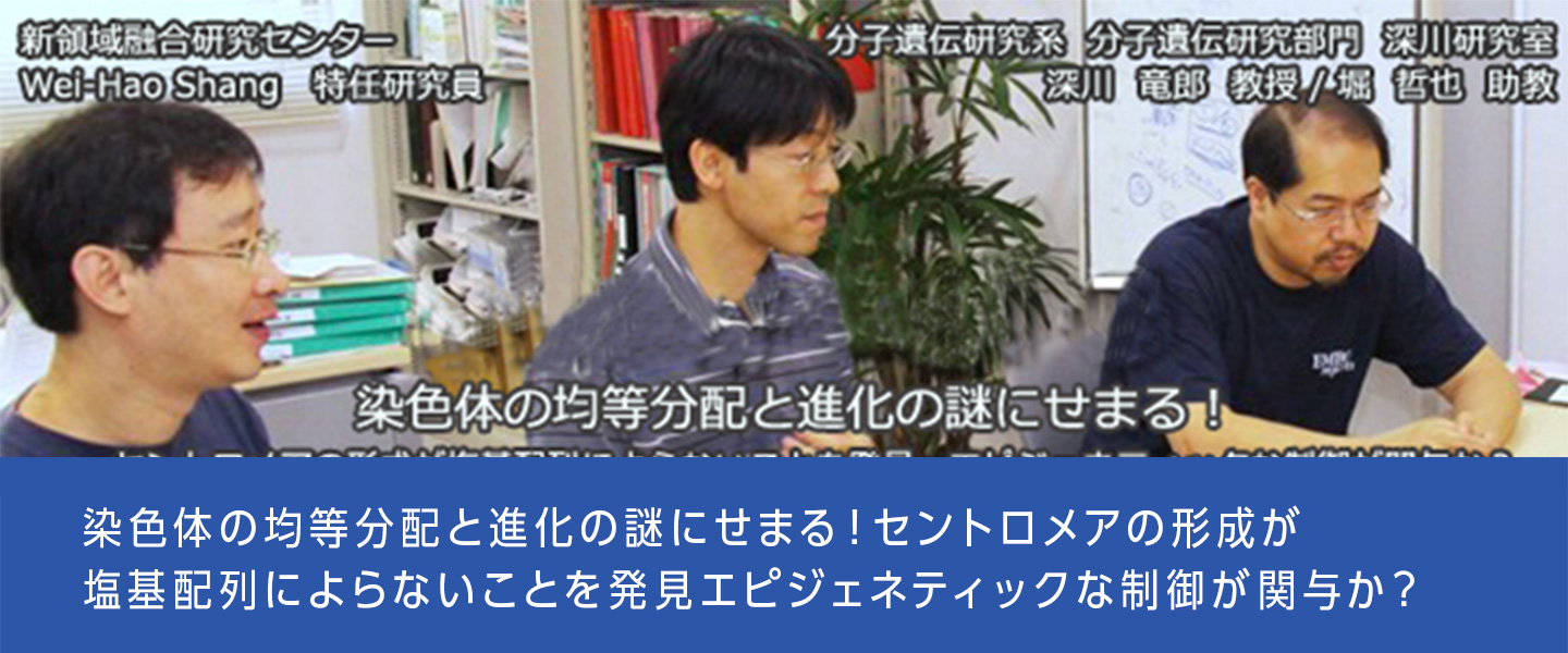 染色体の均等分配と進化の謎にせまる！セントロメアの形成が塩基配列によらないことを発見エピジェネティックな制御が関与か？